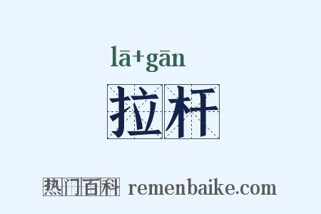 拉杆是什么意思的图片